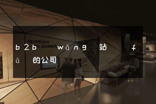 b2b網(wǎng)站開發(fā)的公司