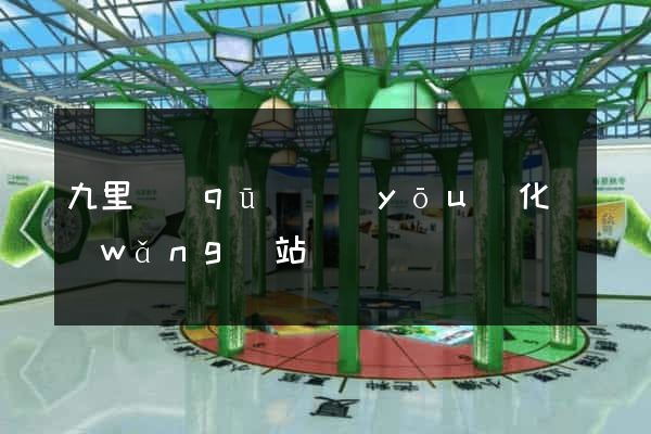 九里區(qū)優(yōu)化網(wǎng)站