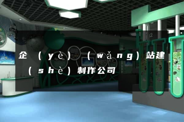 企業(yè)網(wǎng)站建設(shè)制作公司