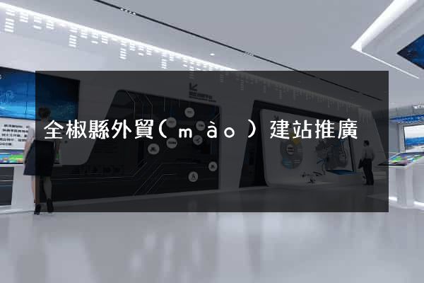 全椒縣外貿(mào)建站推廣