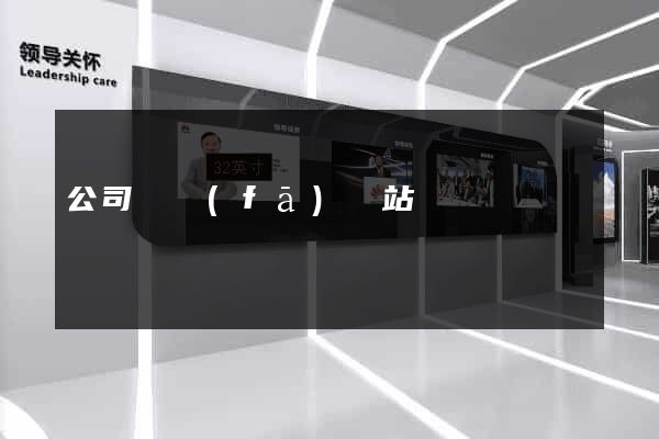 公司開發(fā)網站