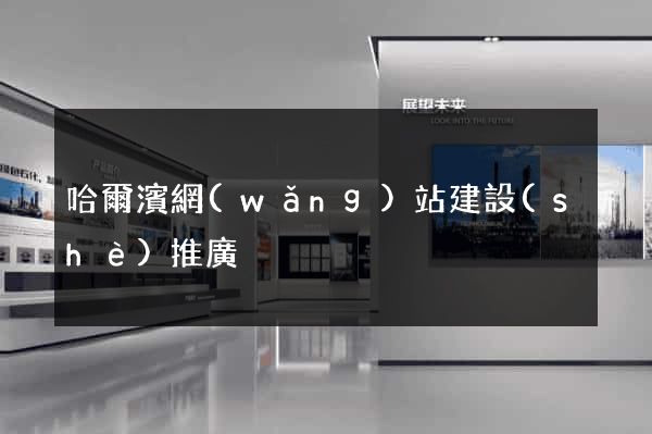 哈爾濱網(wǎng)站建設(shè)推廣
