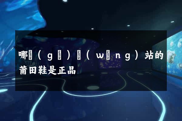 哪個(gè)網(wǎng)站的莆田鞋是正品