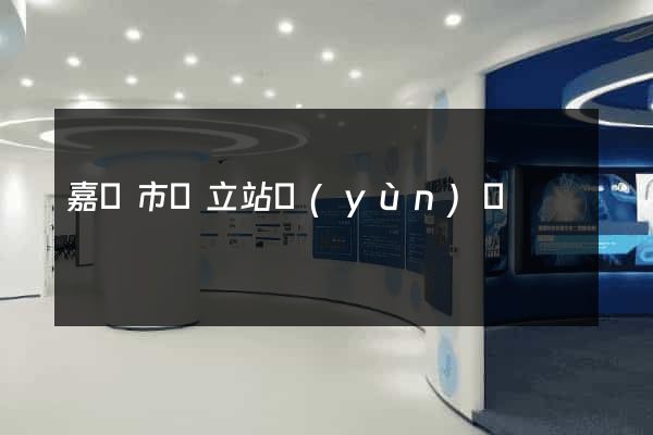 嘉興市獨立站運(yùn)營