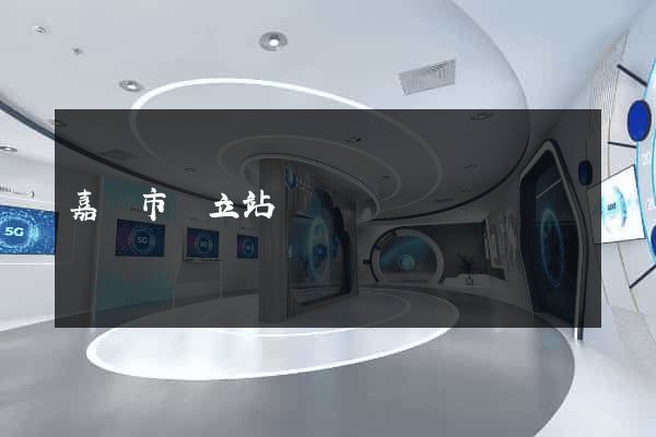 嘉興市獨立站運營