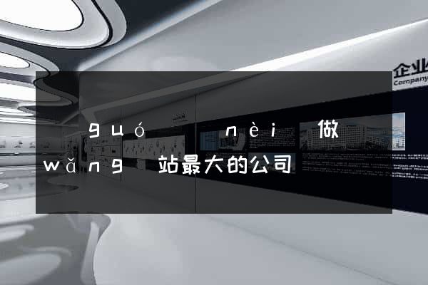 國(guó)內(nèi)做網(wǎng)站最大的公司