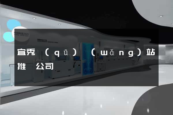 宜秀區(qū)網(wǎng)站推廣公司