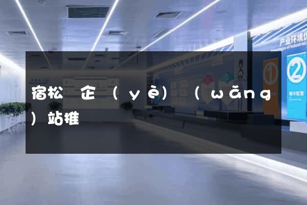 宿松縣企業(yè)網(wǎng)站推廣