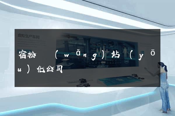 宿松縣網(wǎng)站優(yōu)化公司