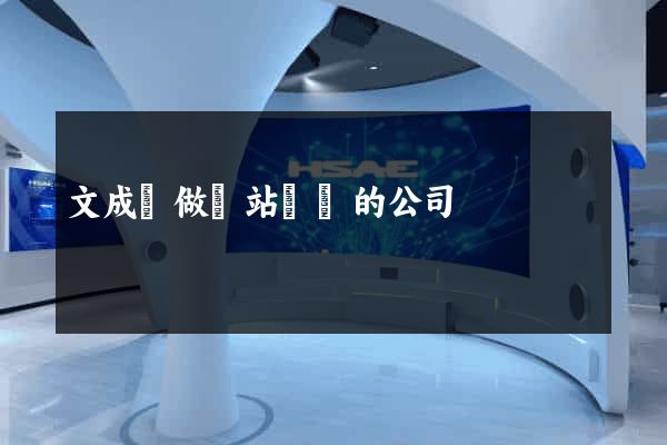 文成縣做網站設計的公司