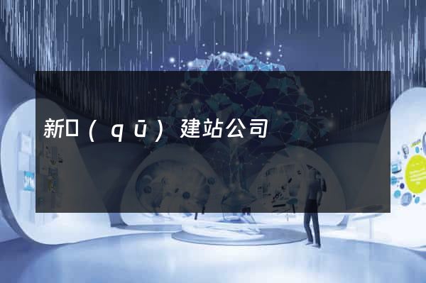 新區(qū)建站公司