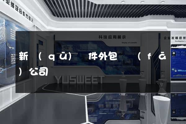 新區(qū)軟件外包開發(fā)公司