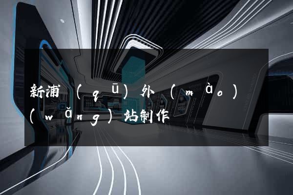 新浦區(qū)外貿(mào)網(wǎng)站制作