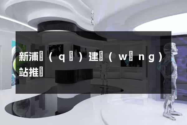 新浦區(qū)建網(wǎng)站推廣