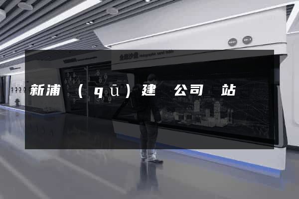 新浦區(qū)建設公司網站