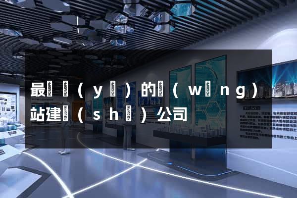 最專業(yè)的網(wǎng)站建設(shè)公司