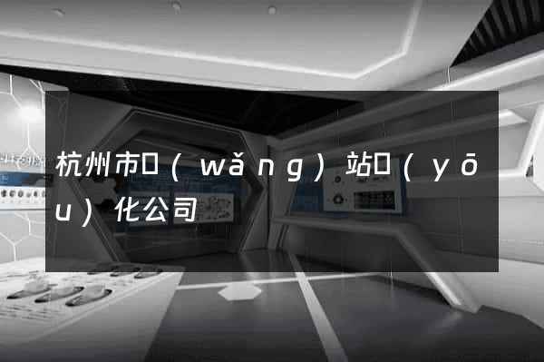 杭州市網(wǎng)站優(yōu)化公司