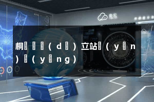 桐廬縣獨(dú)立站運(yùn)營(yíng)