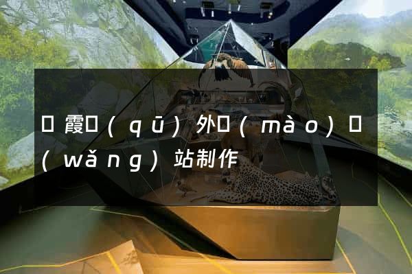 棲霞區(qū)外貿(mào)網(wǎng)站制作