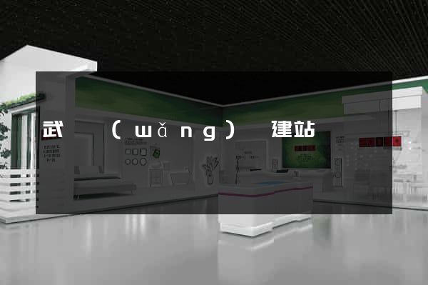武漢網(wǎng)絡建站