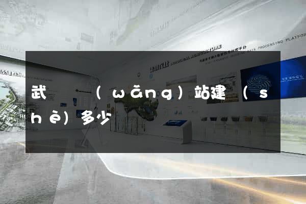 武義縣網(wǎng)站建設(shè)多少錢