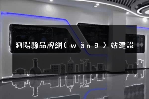 泗陽縣品牌網(wǎng)站建設