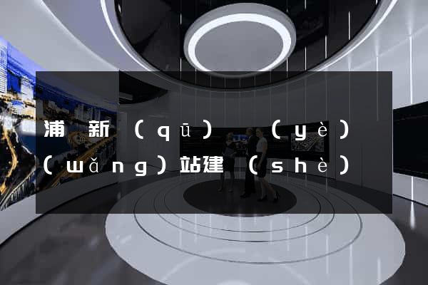 浦東新區(qū)專業(yè)網(wǎng)站建設(shè)