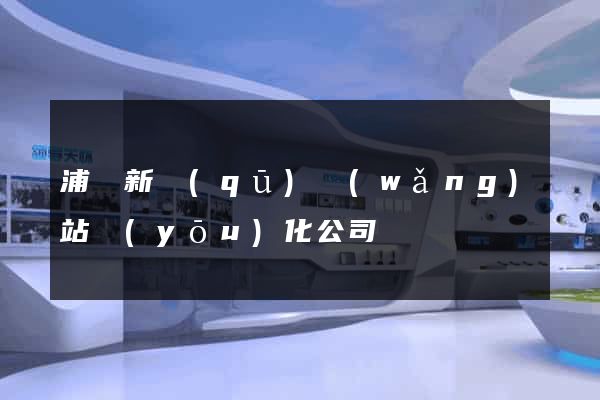 浦東新區(qū)網(wǎng)站優(yōu)化公司