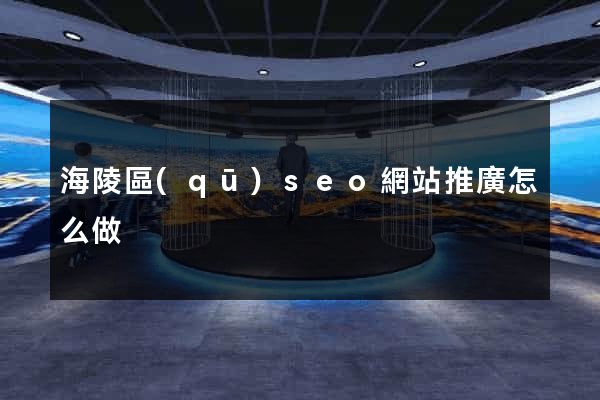海陵區(qū)seo網站推廣怎么做