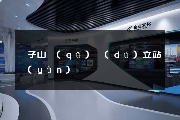 獅子山區(qū)獨(dú)立站運(yùn)營