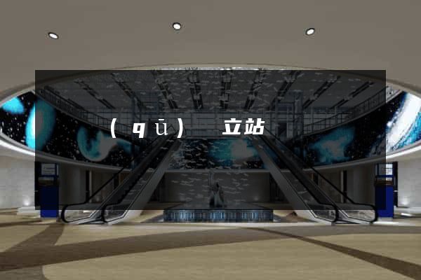 盧灣區(qū)獨立站運營