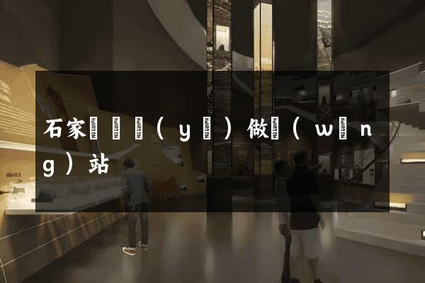 石家莊專業(yè)做網(wǎng)站