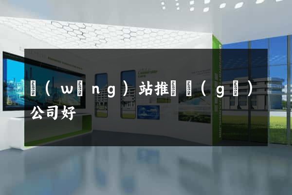 網(wǎng)站推廣個(gè)公司好