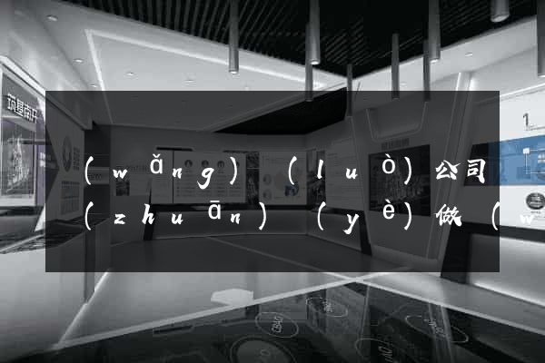 網(wǎng)絡(luò)公司專(zhuān)業(yè)做網(wǎng)站