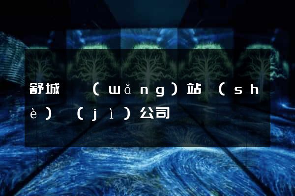 舒城縣網(wǎng)站設(shè)計(jì)公司