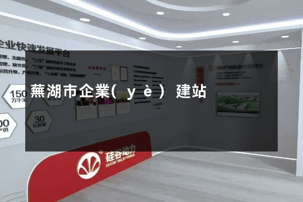 蕪湖市企業(yè)建站