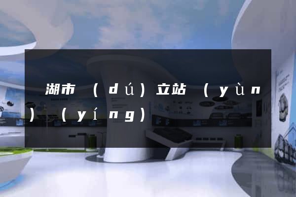 蕪湖市獨(dú)立站運(yùn)營(yíng)