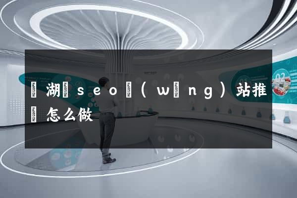 蕪湖縣seo網(wǎng)站推廣怎么做