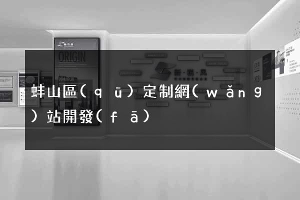 蚌山區(qū)定制網(wǎng)站開發(fā)