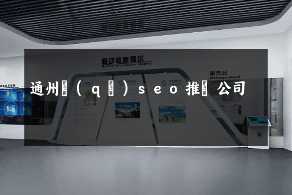 通州區(qū)seo推廣公司
