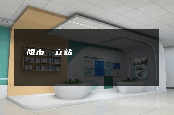 銅陵市獨立站運營