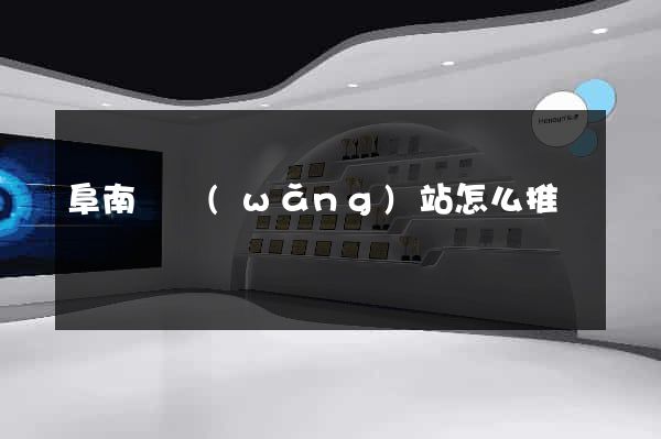 阜南縣網(wǎng)站怎么推廣