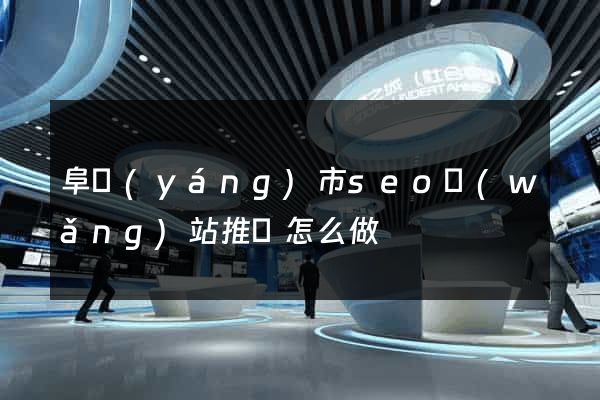 阜陽(yáng)市seo網(wǎng)站推廣怎么做