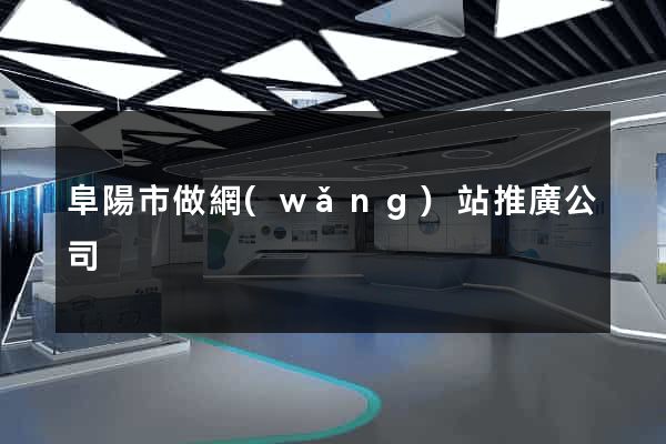 阜陽市做網(wǎng)站推廣公司