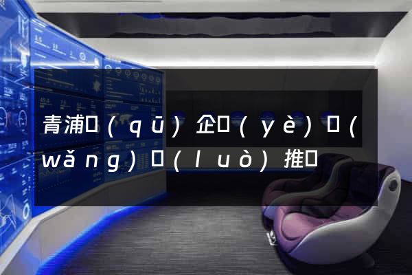 青浦區(qū)企業(yè)網(wǎng)絡(luò)推廣