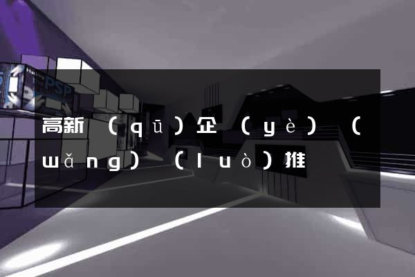 高新區(qū)企業(yè)網(wǎng)絡(luò)推廣