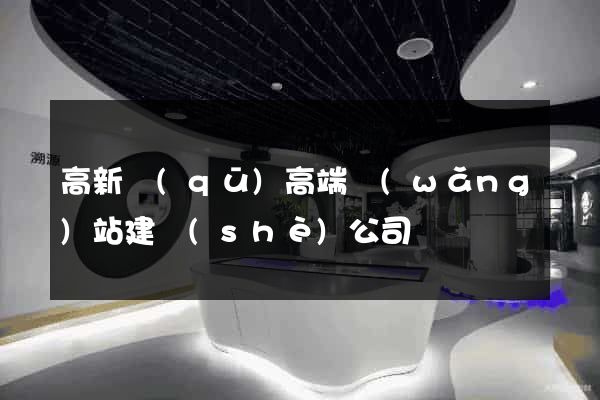 高新區(qū)高端網(wǎng)站建設(shè)公司