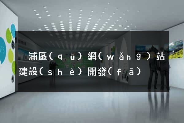 黃浦區(qū)網(wǎng)站建設(shè)開發(fā)