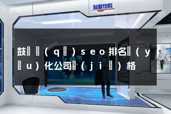 鼓樓區(qū)seo排名優(yōu)化公司價(jià)格