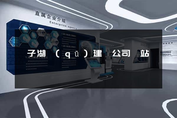 龍子湖區(qū)建設公司網站